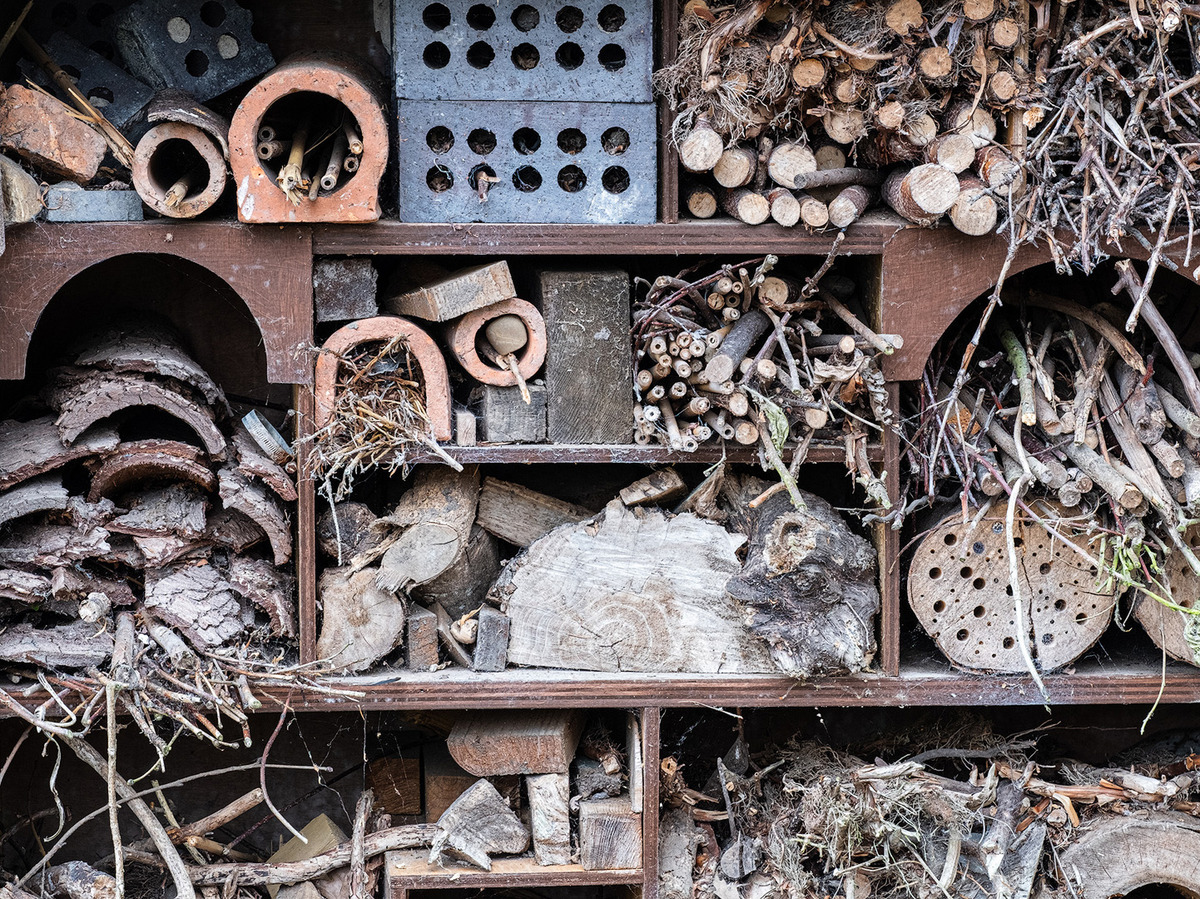 The Insect Hotel